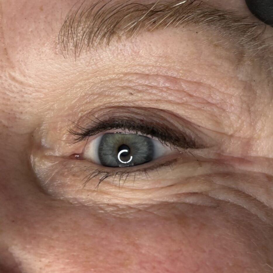 Close-up of soft shaded PMU eyeliner.